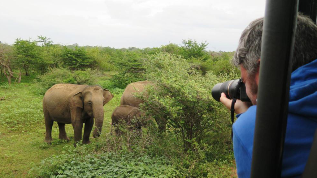 Best Safari in Sri Lanka in
